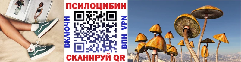 Галлюциногенные грибы мицелий Купить закладки Шилка